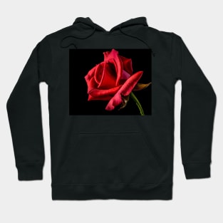 One rose says more than the dozen- Wendy Craig Hoodie